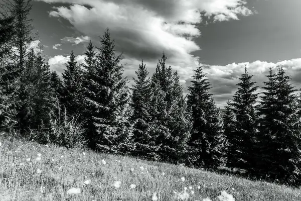 Dağlarda dağları olan güzel bir manzara.
