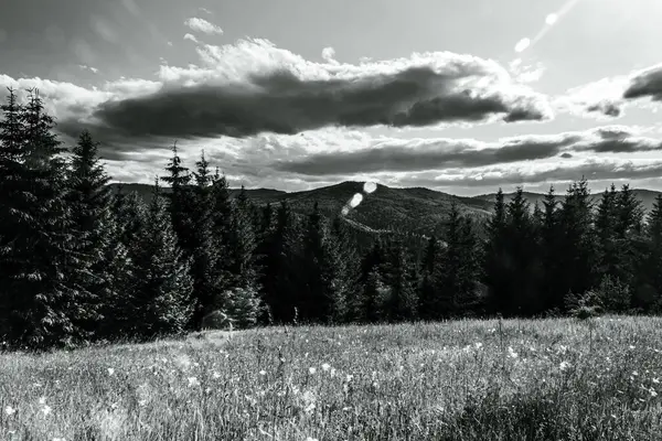 bir dağ manzarasının siyah beyaz fotoğrafı