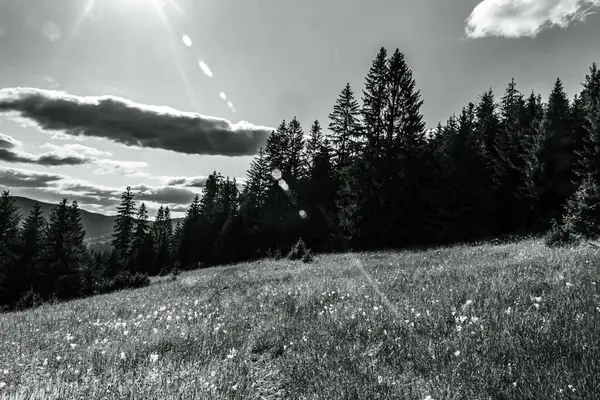 Dağların güzel manzarası