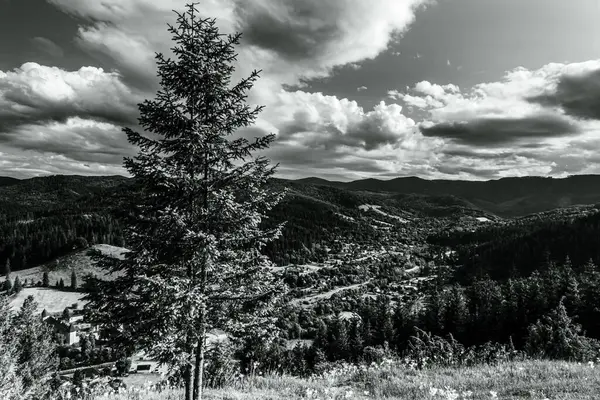 Dağlarda siyah beyaz bulutlar ve ağaçlar