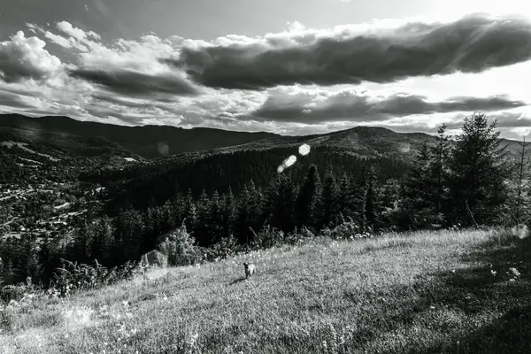 Dağlı güzel bir manzara.