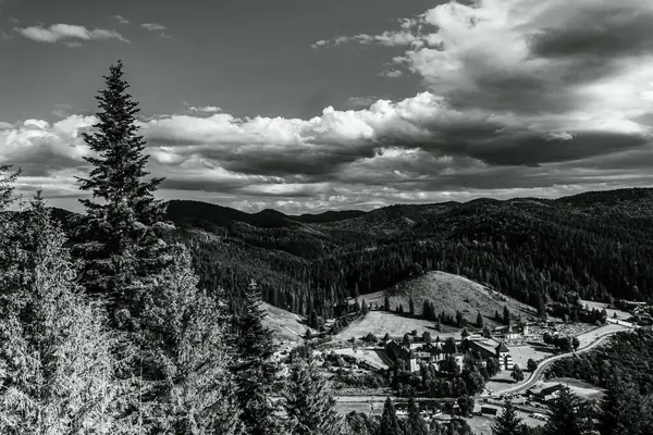 Ormanın ortasındaki güzel bir dağ manzarasının gri tonlu görüntüsü.