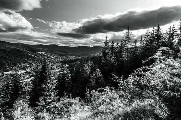 Dağlardaki bir dağın siyah beyaz fotoğrafı.