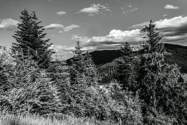 Colorado 'daki dağ manzarasının siyah beyaz fotoğrafı.