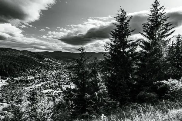 Bir dağ ve ormanı olan güzel bir manzara.