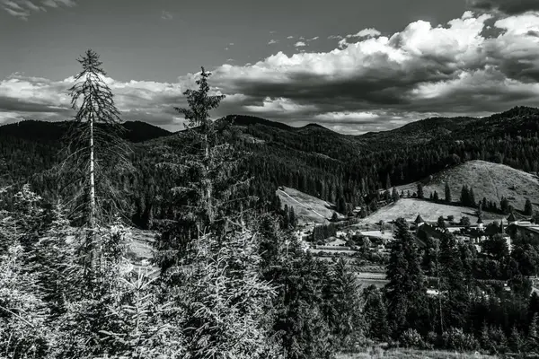 siyah ve beyaz dağ manzarası