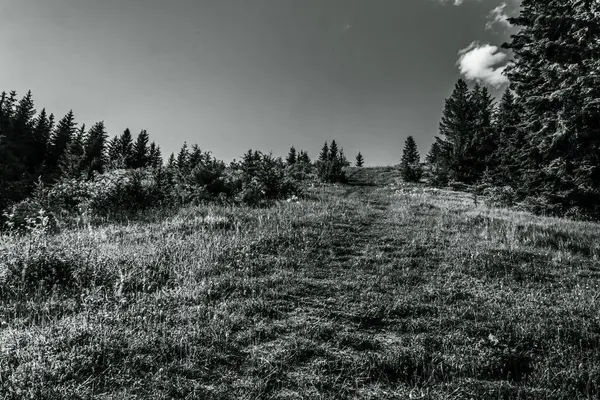 Bir patikası olan güzel bir dağ manzarası
