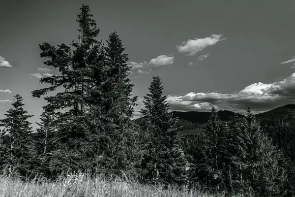 Doğanın güzel manzarası