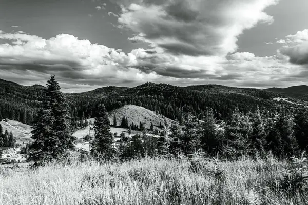 Nehir ve gölü olan güzel bir manzara.