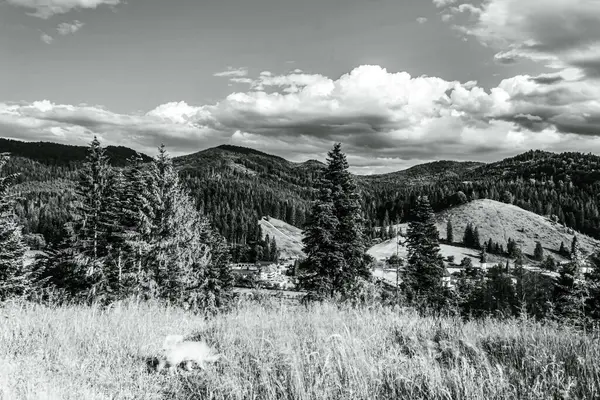 Dağların güzel manzarası