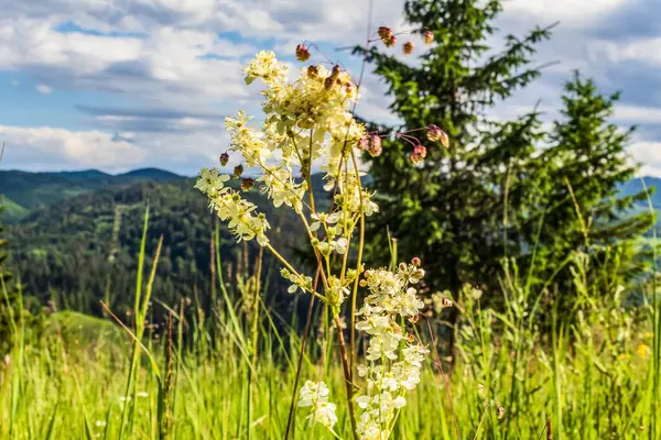 Dağların güzel manzarası