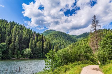 Yazın dağların güzel manzarası