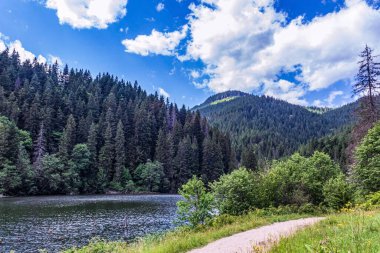 Dağlarda göl ve orman.