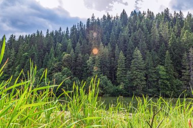 Karpat Dağları 'nın güzel manzarası