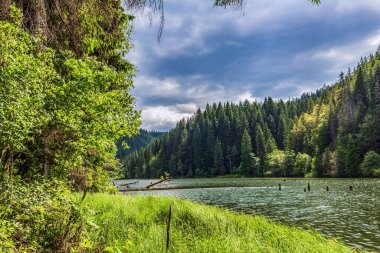 Ormandaki güzel göl