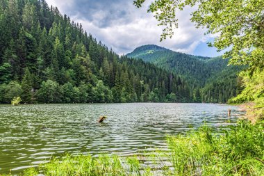 Göl ve dağlarla dolu güzel bir manzara.