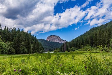 Güzel bir dağ manzarası