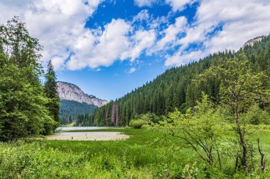 Bulutlu gökyüzünün altında yeşilliklerle çevrili güzel bir göl görüntüsü.