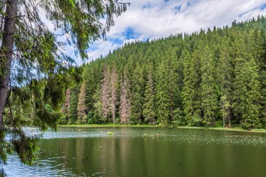 Dağlardaki güzel göl manzarası