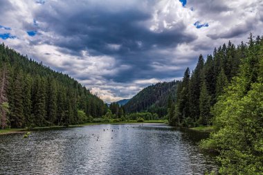 Güzel göl manzarası