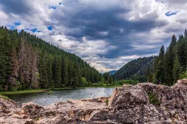 Karpatya ormanlarındaki dağ manzarası