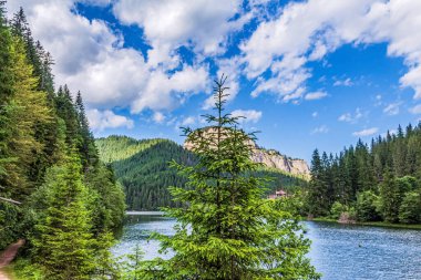 Güzel bir dağ nehri manzarası, yaz manzarası