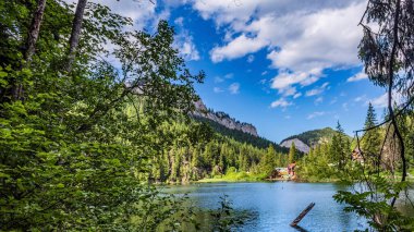 Ormandaki güzel göl