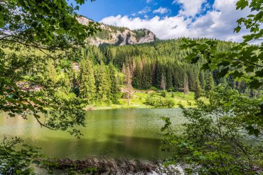 Dağlarda ağaçlar olan güzel dağ gölü.