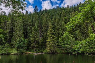 Dağlarda ağaçlarla çevrili güzel bir göl.