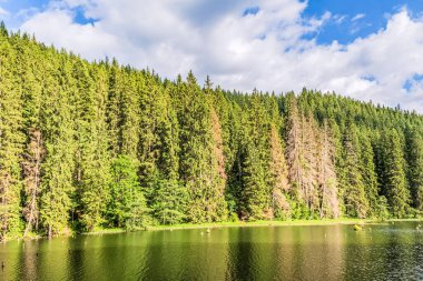 Güzel göl manzarası