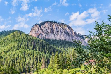 Dağın tepesinden vadinin tepesine manzara