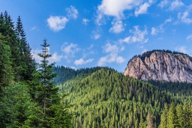 Bulutlu mavi gökyüzünün altında ormandaki kayalık dağın güzel bir görüntüsü.