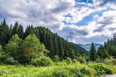 Dağlarda yolu olan güzel bir manzara.