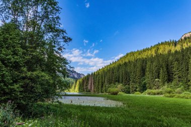 Göl ve dağlarla dolu güzel bir manzara.