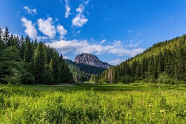 Güzel yaz manzarası. Yeşil orman, dağlar ve mavi gökyüzü.