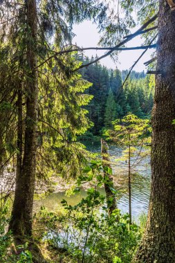 Güzel göl manzarası