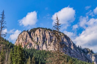 Ormandaki kayalık dağlar