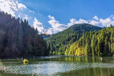 Doğanın güzel manzarası