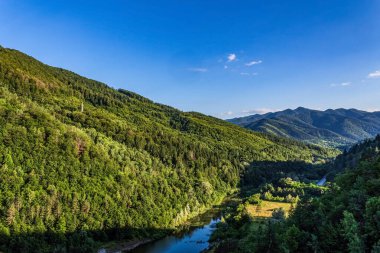 Ormandaki dağ gölü