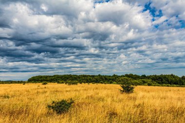 Bulutlarla dolu bir tarlası ve bulutlu gökyüzü olan güzel bir manzara.