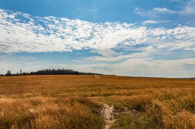 Dağlardaki kırsal bir yolun güzel manzarası.