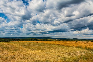 Büyük bir tarlası ve bulutlu gökyüzü olan güzel bir yaz manzarası.