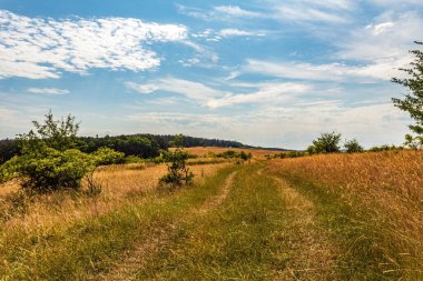 Dağlarda yolu olan güzel bir manzara.