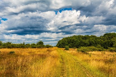 beautiful summer landscape with a cloudy sky