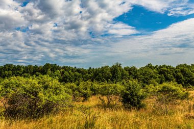 Bulutlu güzel bir manzara.