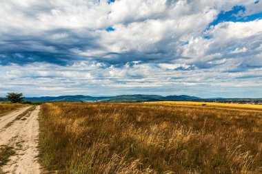 Bulutlu bir gökyüzünün altında yeşilliklerle çevrili kırsal bir yolun güzel manzarası.