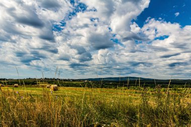 Çimen tarlası ve bulutlu gökyüzü olan güzel bir manzara.