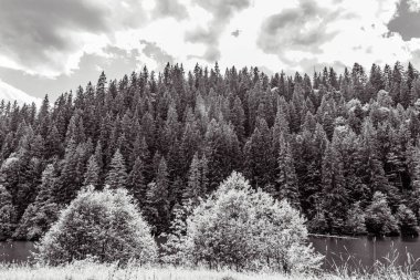 bir dağın siyah beyaz fotoğrafı