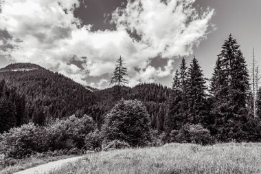 Dağları ve bulutları olan güzel bir manzara