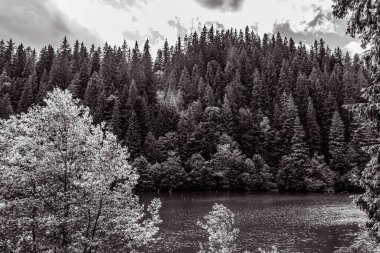 bir gölün siyah ve beyaz görüntüsü